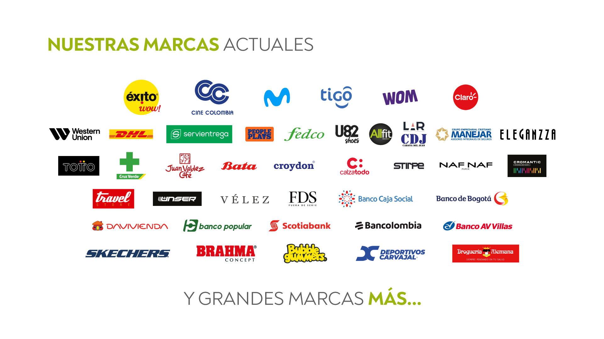 fondo seccion